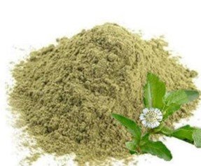 Bhringaraj(guntagalagara) Powd