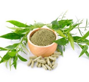 Kalmegh Powder 100gms